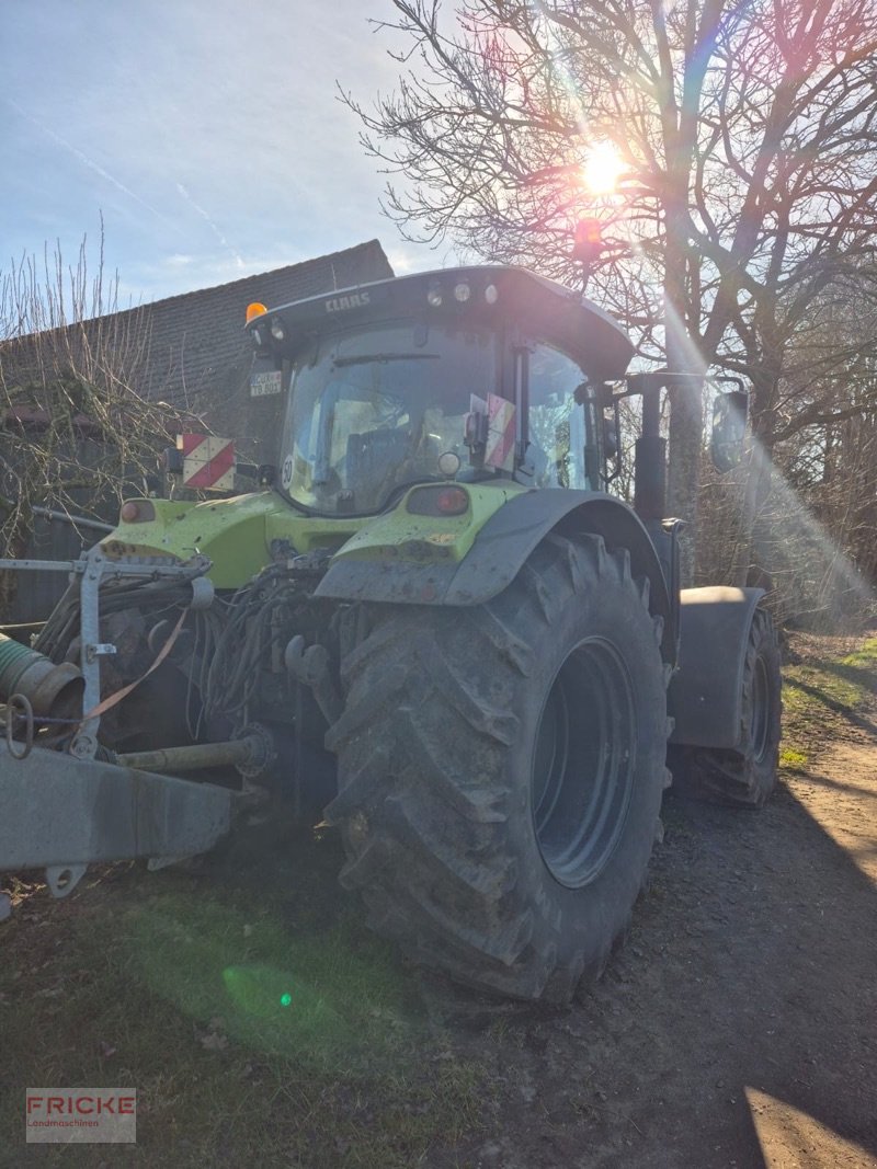 Traktor του τύπου CLAAS Arion 660 CIS + inklusive GPS S 10 RTK, Gebrauchtmaschine σε Bockel - Gyhum (Φωτογραφία 5)