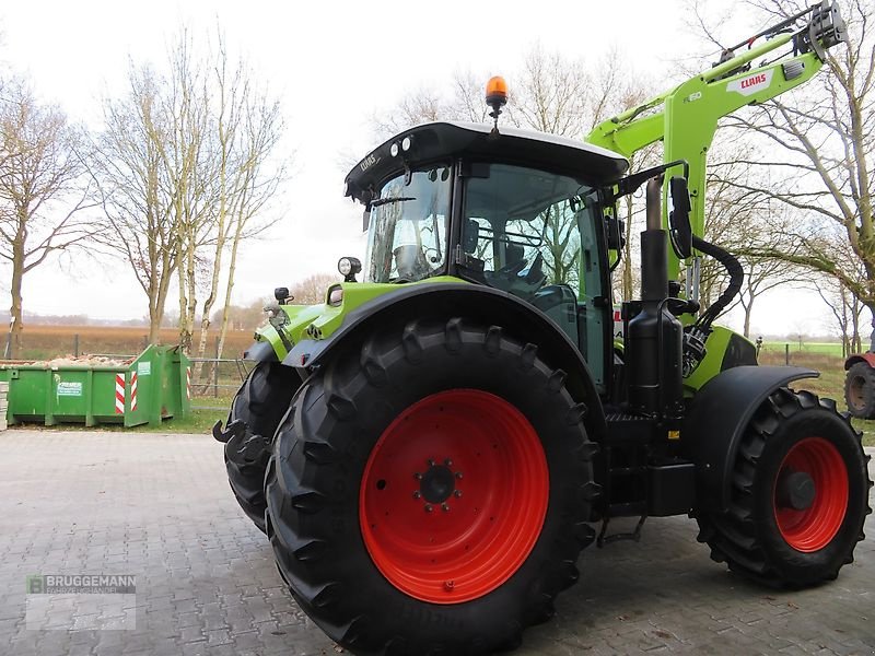 Traktor типа CLAAS Arion 660 CMATIC CEBIS, Frontlader & 4300 Stunden, Gebrauchtmaschine в Meppen (Фотография 5)