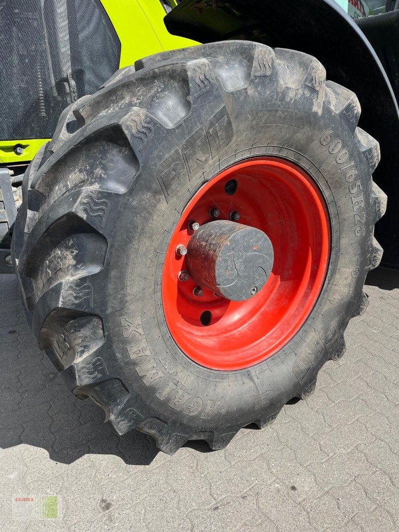 Traktor Türe ait CLAAS ARION 660 CMATIC CEBIS (inkl. RTK), Gebrauchtmaschine içinde Risum-Lindholm (resim 5)