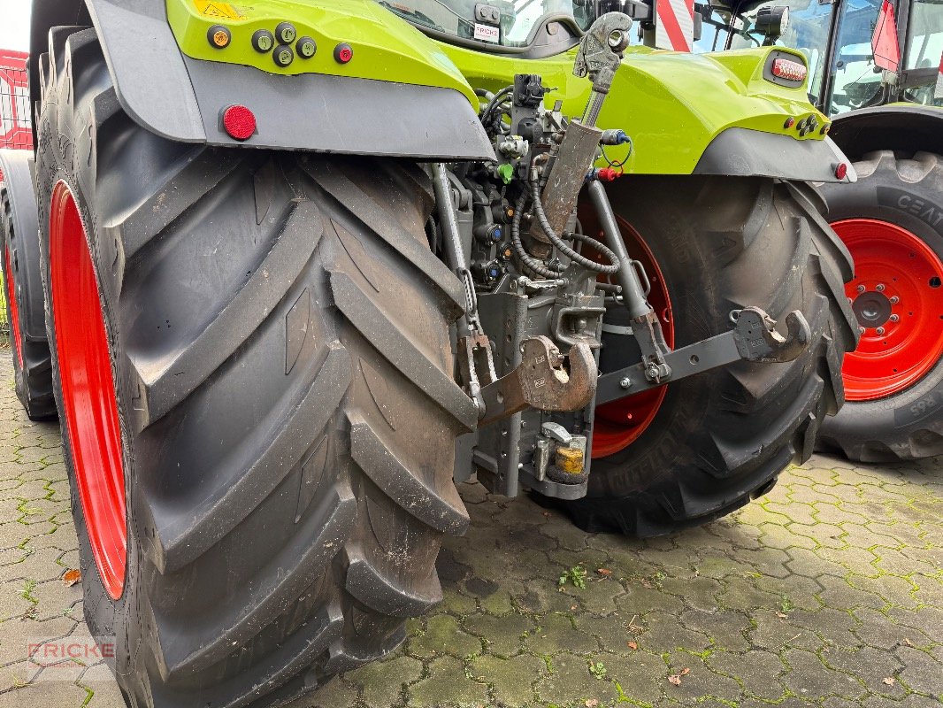 Traktor van het type CLAAS Arion 660 Cmatic Cebis, Gebrauchtmaschine in Bockel - Gyhum (Foto 17)
