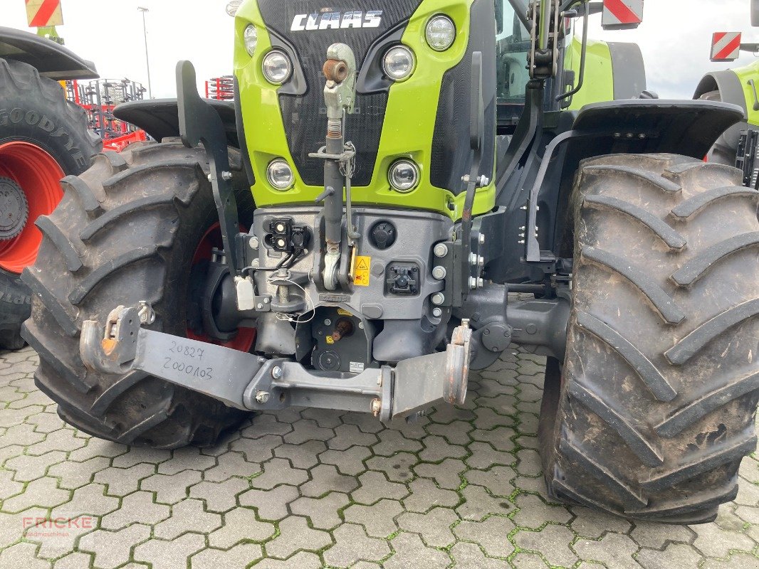 Traktor des Typs CLAAS Axion 810 Cmatic Cebis, Gebrauchtmaschine in Bockel - Gyhum (Bild 3)