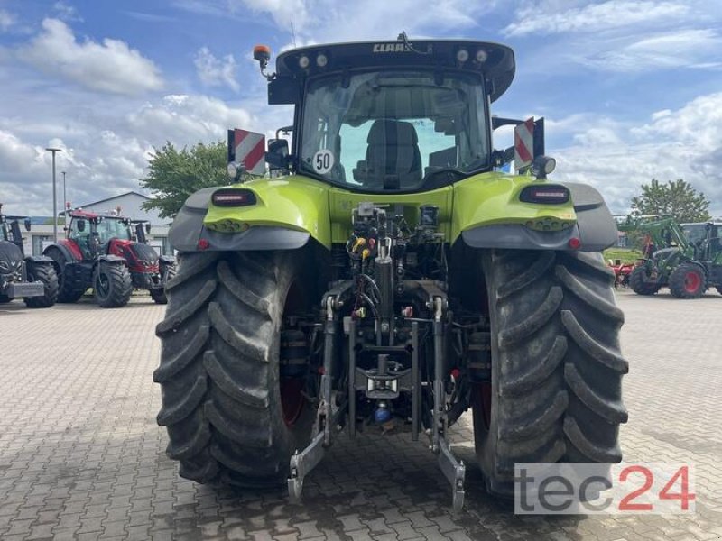 Traktor of the type CLAAS AXION 830 CEBIS, Gebrauchtmaschine in Brakel (Picture 4)