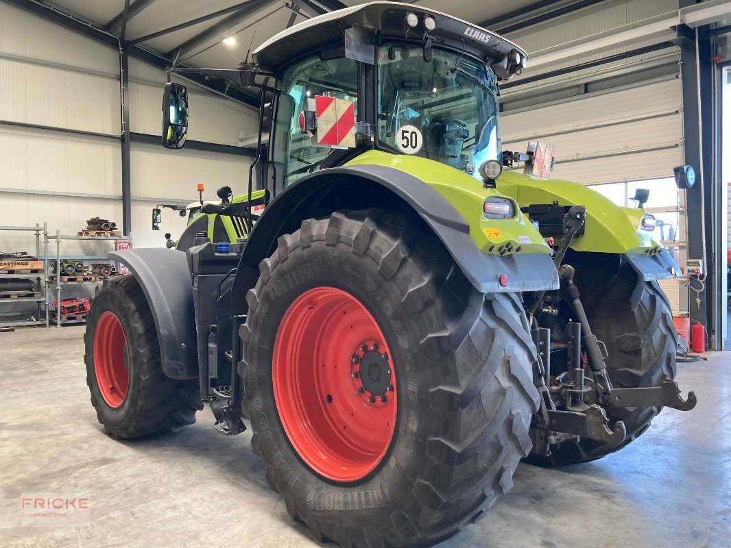 Traktor del tipo CLAAS Axion 920 Cmatic Cebis, Gebrauchtmaschine en Bockel - Gyhum (Imagen 4)
