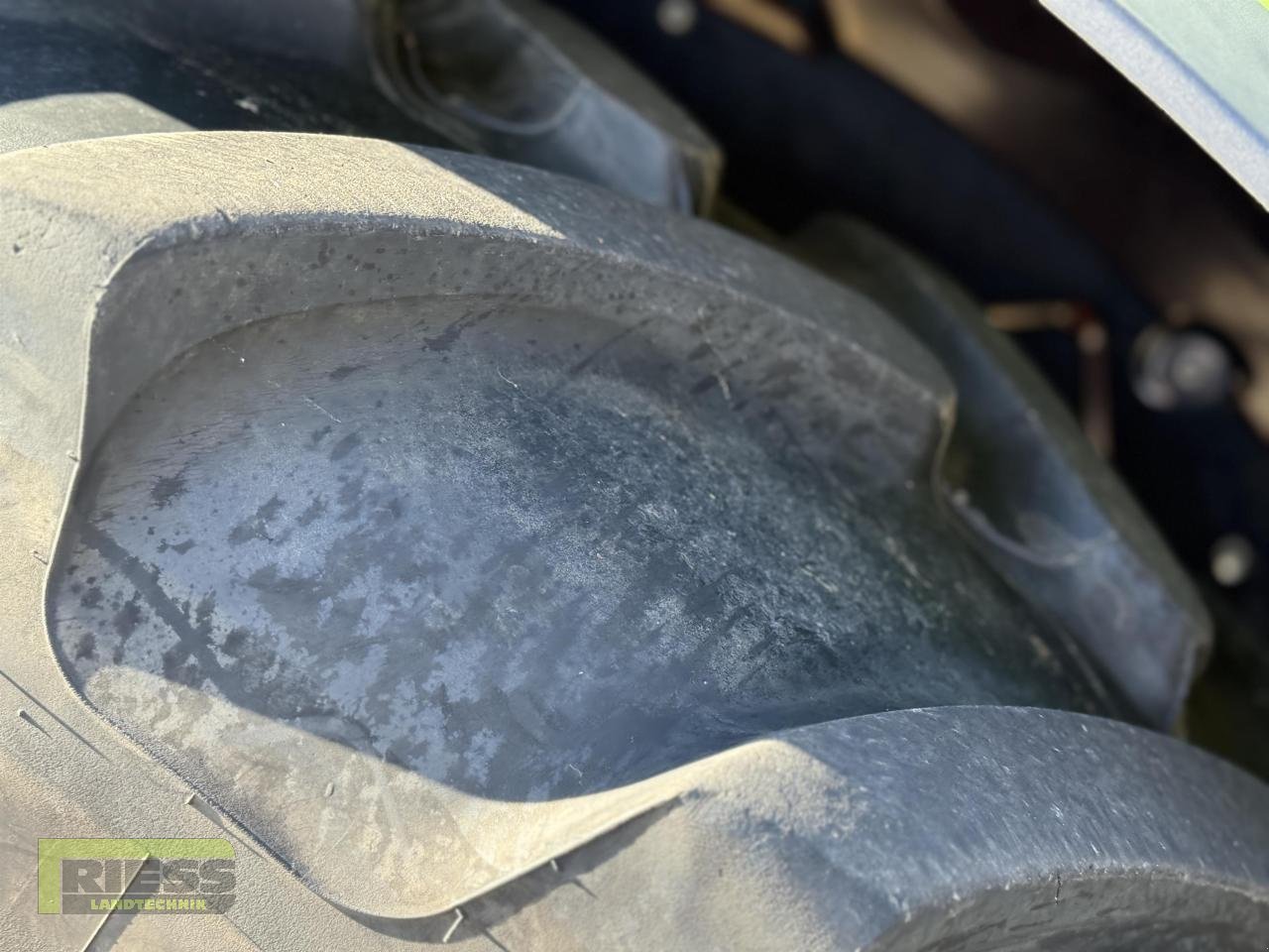 Traktor от тип CLAAS AXOS 310 CL A22 Quicke A46 Sauter FHZ, Gebrauchtmaschine в Homberg/Ohm - Maulbach (Снимка 16)