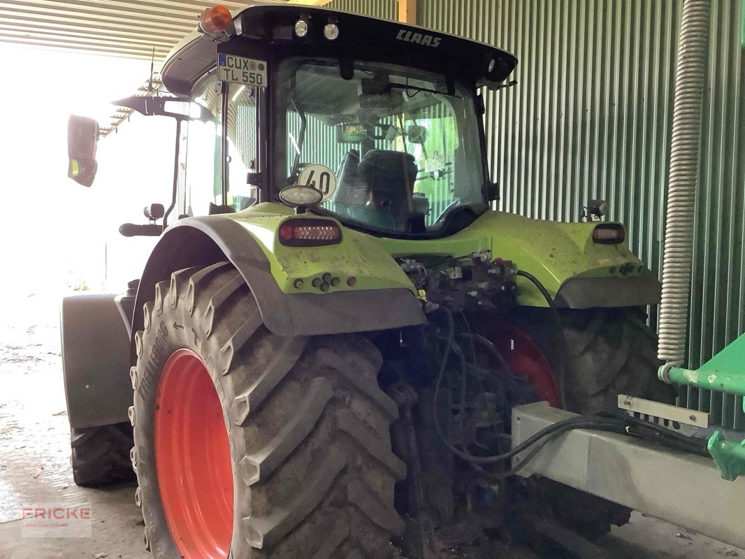 Traktor del tipo CLAAS Claas Arion 550 Cebis Hexashift, Gebrauchtmaschine In Bockel - Gyhum (Immagine 4)