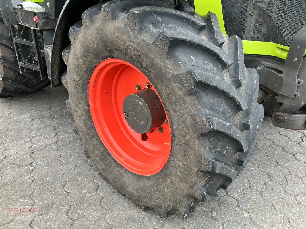 Traktor del tipo CLAAS Claas Arion 550 Cebis Hexashift, Gebrauchtmaschine In Bockel - Gyhum (Immagine 10)