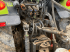 Traktor des Typs CLAAS NEXOS 240 M TRADITION, Gebrauchtmaschine in SAINT ANDIOL (Bild 7)
