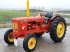 Traktor du type David Brown Oldtimer tractor 770, Gebrauchtmaschine en Groningen (Photo 1)