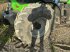 Traktor del tipo Deutz-Fahr AGROT.6130.4TTV, Gebrauchtmaschine en les hayons (Imagen 5)