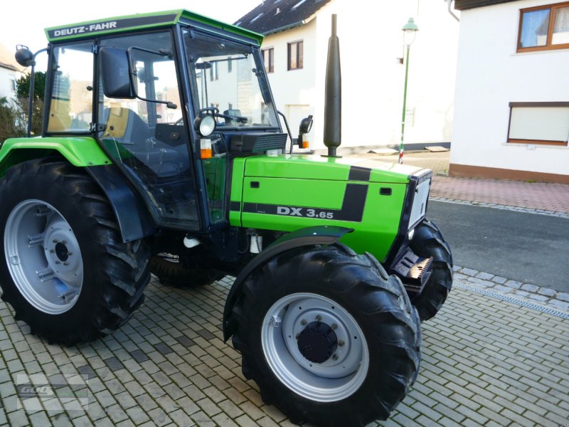Traktor typu Deutz-Fahr DX 3.65 Allr. im sehr gutem Zustand. Mit 1 Jahr Gewährleistung, Gebrauchtmaschine w Langenzenn