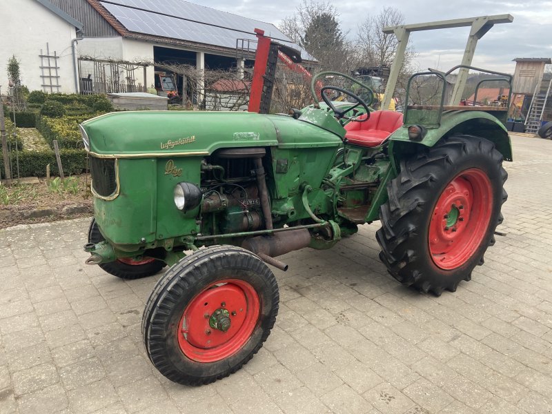 Traktor del tipo Deutz D40, Gebrauchtmaschine In Höttingen (Immagine 1)