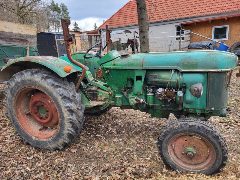 Traktor типа Deutz D40, Gebrauchtmaschine в Wiesen (Фотография 1)