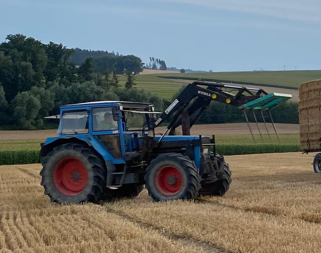 Traktor du type Eicher 3125 Turbo, Gebrauchtmaschine en Untergriesbach (Photo 2)