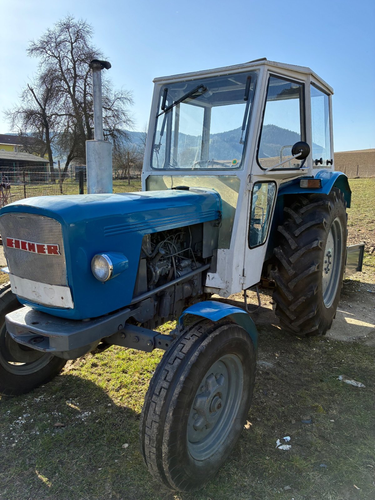 Traktor Türe ait Eicher Büffel 74 3553, Gebrauchtmaschine içinde Tainach (resim 1)