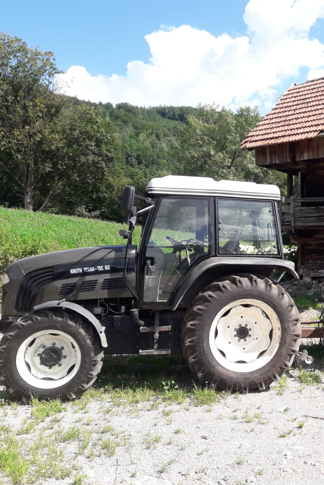 Traktor van het type Europart 824, Gebrauchtmaschine in Ramsau (Foto 1)
