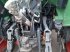Traktor Türe ait Fendt 307ci, Gebrauchtmaschine içinde Sennfeld (resim 9)