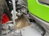 Traktor Türe ait Fendt 724 S4 Profi Plus, Gebrauchtmaschine içinde Ostercappeln (resim 13)