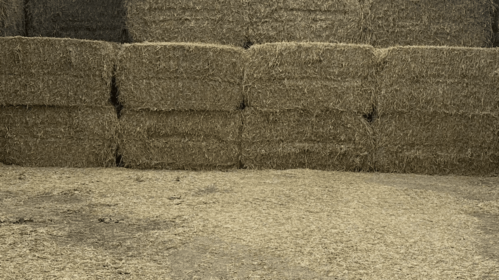 Traktor типа Fendt 818 Vario TMS, Gebrauchtmaschine в Haderslev (Фотография 1)