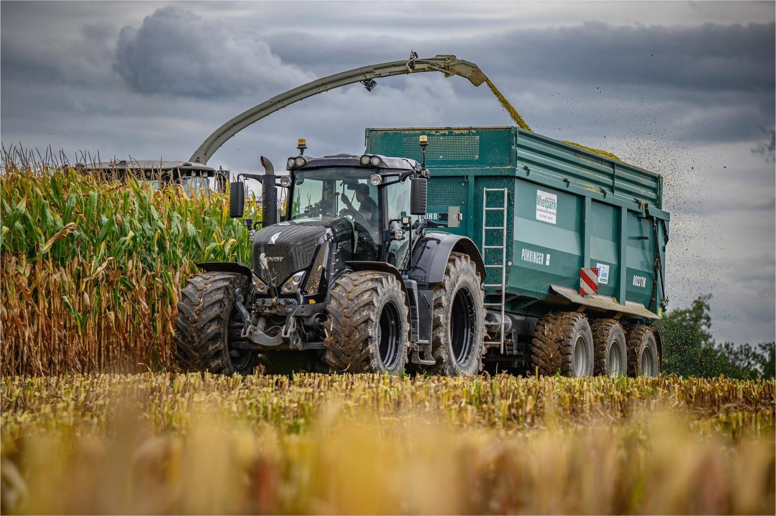 Traktor от тип Fendt 936 Vario ProfiPlus, Gebrauchtmaschine в Bad Füssing (Снимка 1)