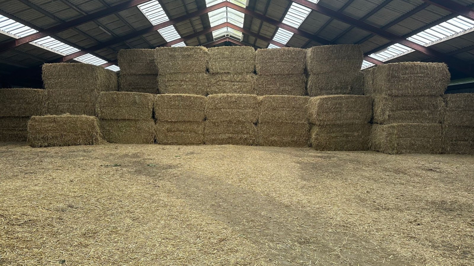 Traktor typu Fendt Købes til eksport, Gebrauchtmaschine w Haderslev (Zdjęcie 6)