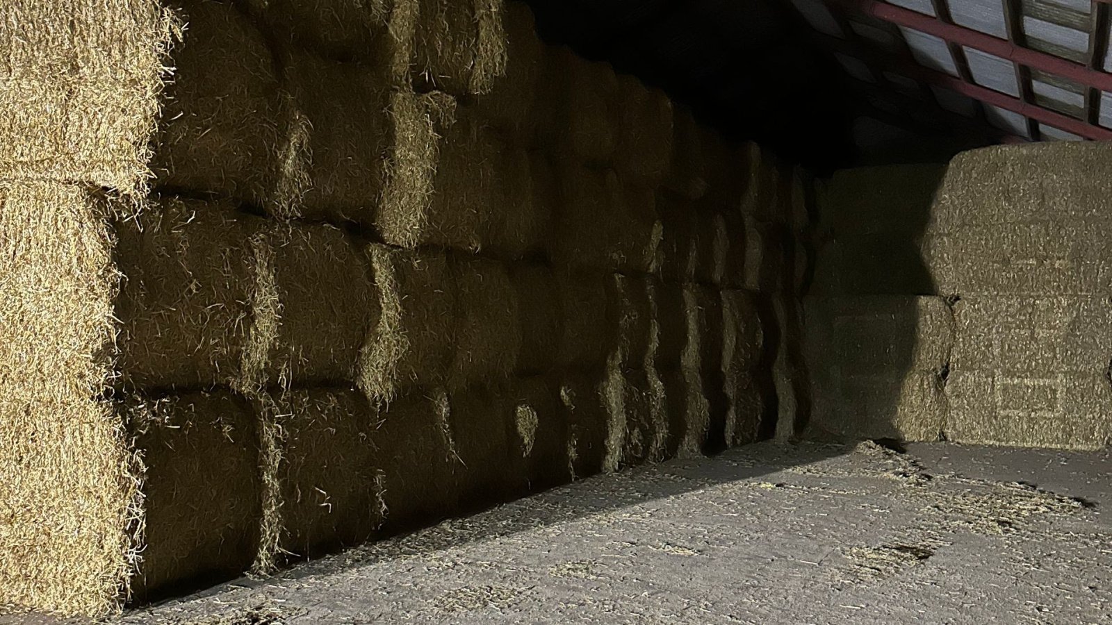 Traktor typu Fendt Købes til eksport, Gebrauchtmaschine w Haderslev (Zdjęcie 1)