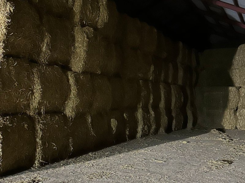 Traktor typu Fendt Købes til eksport, Gebrauchtmaschine w Haderslev (Zdjęcie 1)