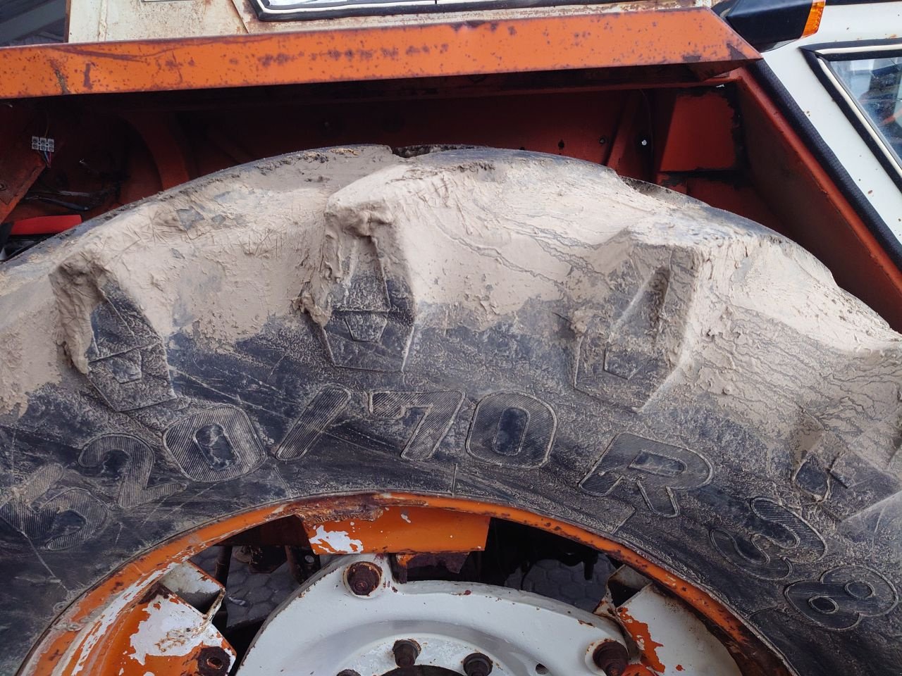 Traktor des Typs Fiat 1000 DT, Gebrauchtmaschine in Wieringerwerf (Bild 3)