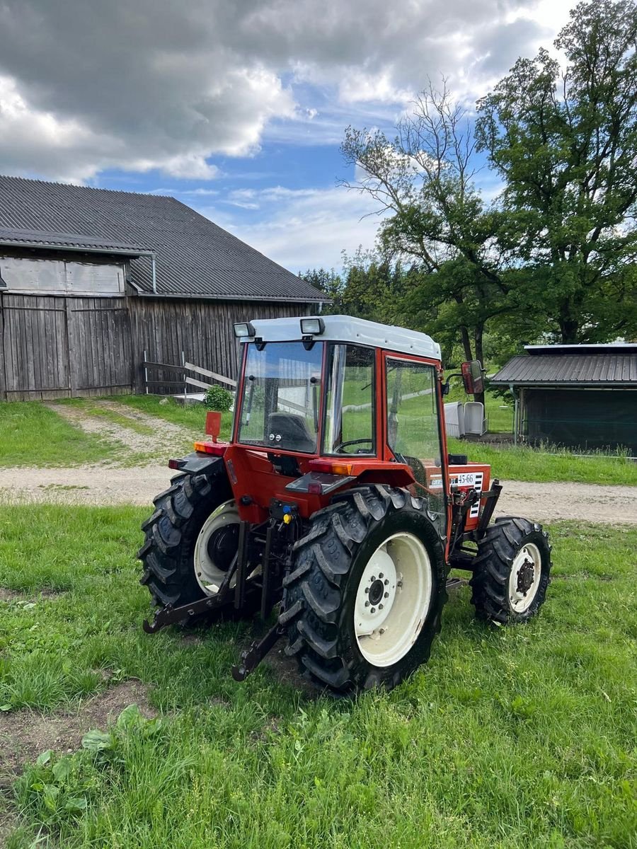 Traktor des Typs Fiat 45-66 DT, Gebrauchtmaschine in Putzleinsdorf (Bild 2)