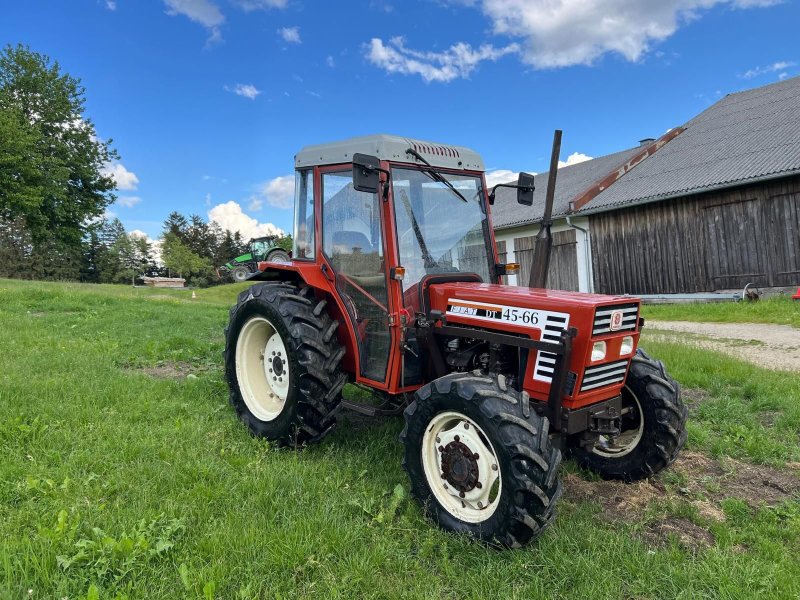 Traktor des Typs Fiat 45-66 DT, Gebrauchtmaschine in Putzleinsdorf (Bild 1)