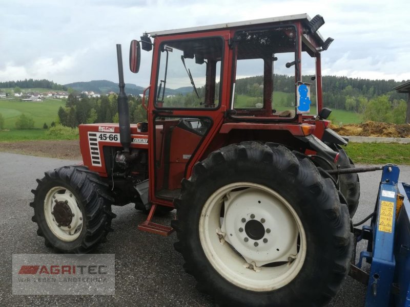 Traktor a típus Fiat 45-66 DT, Gebrauchtmaschine ekkor: Friesach