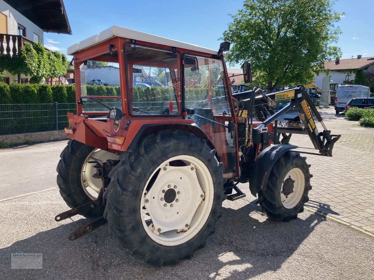 Traktor des Typs Fiat 45-66 DT, Gebrauchtmaschine in Obing (Bild 4)