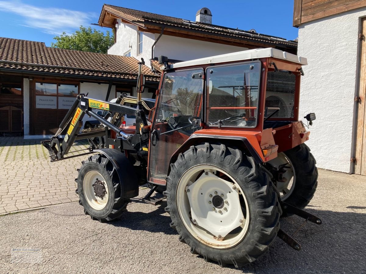 Traktor des Typs Fiat 45-66 DT, Gebrauchtmaschine in Obing (Bild 2)