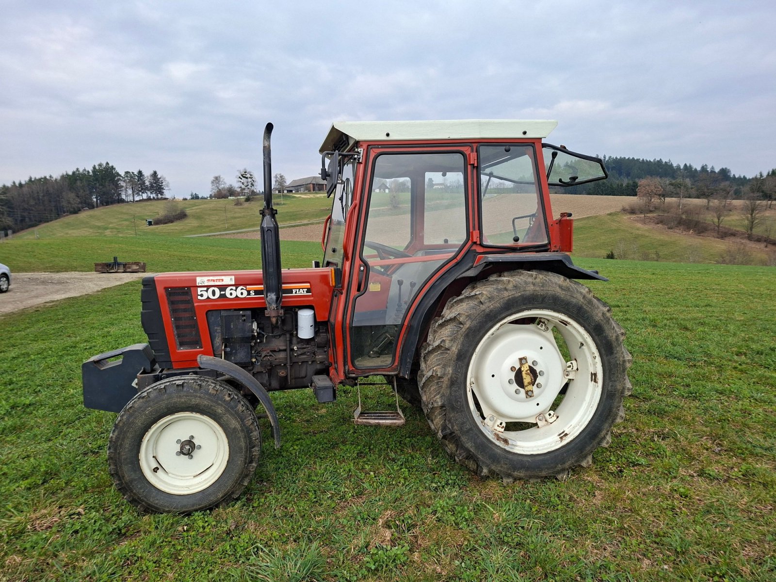 Traktor del tipo Fiat 45-66 Special, Gebrauchtmaschine In Bad Kreuzen (Immagine 2)
