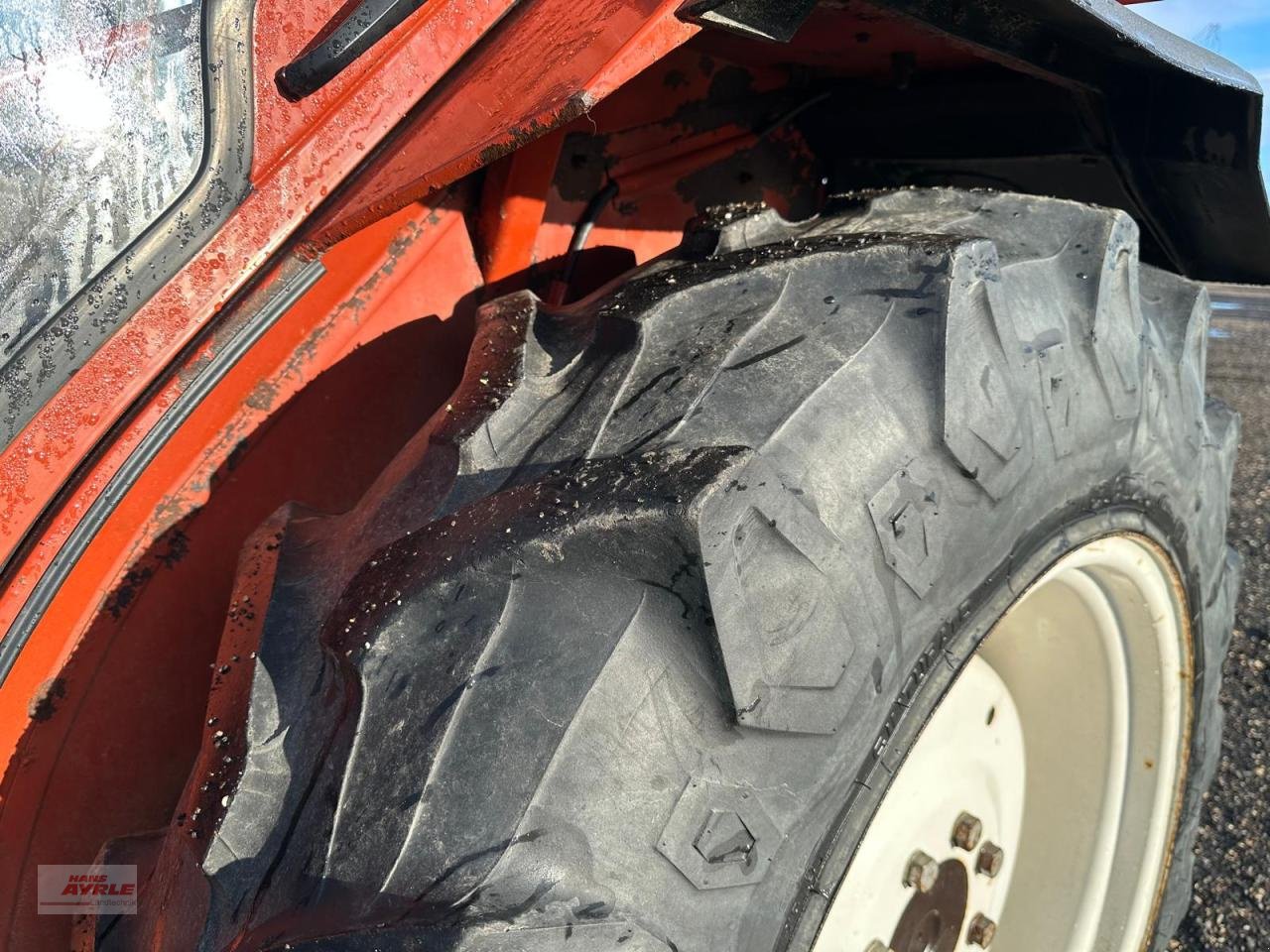 Traktor des Typs Fiat 55-66 S DT, Gebrauchtmaschine in Steinheim (Bild 21)