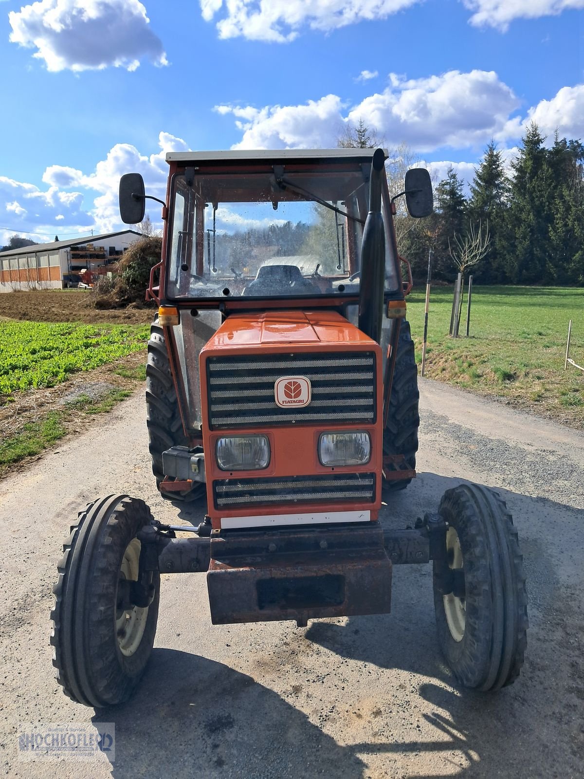 Traktor типа Fiat 55-66, Gebrauchtmaschine в Wies (Фотография 6)