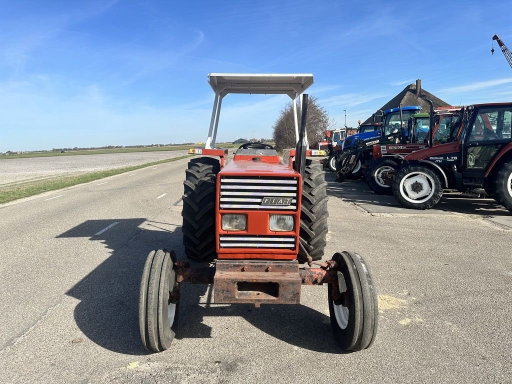 Traktor des Typs Fiat 55-66, Gebrauchtmaschine in Callantsoog (Bild 2)