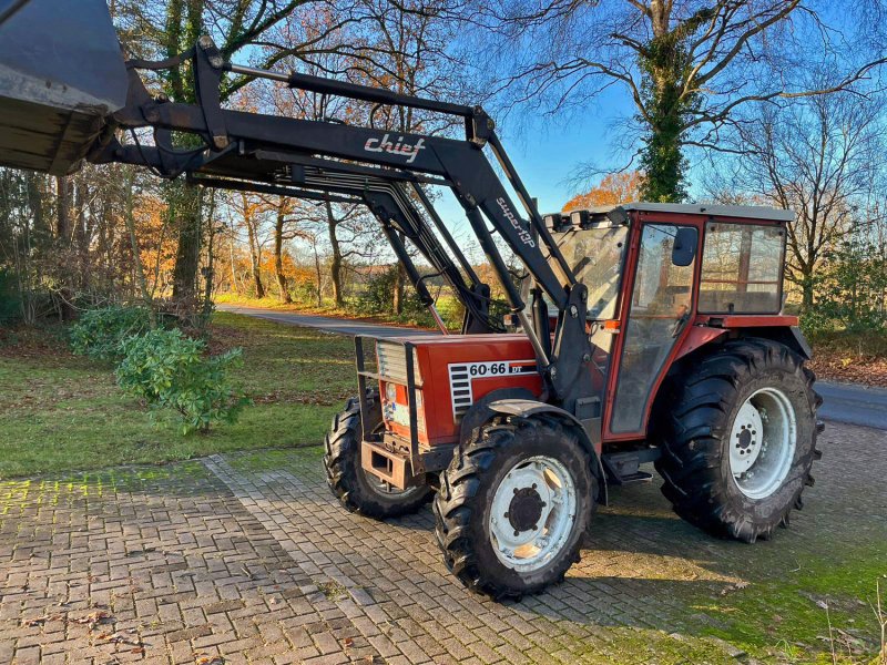 Traktor des Typs Fiat 60-66 Frontlader+niedrigkabine, Gebrauchtmaschine in Mittelsdorf (Bild 1)