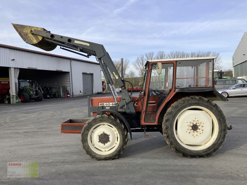 Traktor a típus Fiat 60-66, Gebrauchtmaschine ekkor: Wülfershausen a.d.Saale (Kép 13)