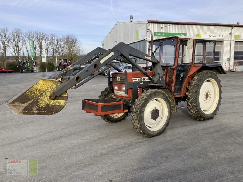 Traktor a típus Fiat 60-66, Gebrauchtmaschine ekkor: Wülfershausen a.d.Saale (Kép 2)