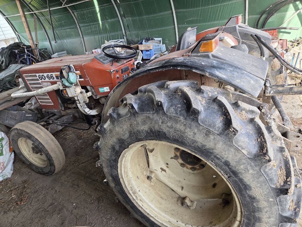 Traktor του τύπου Fiat 60-66, Gebrauchtmaschine σε ST MARTIN EN HAUT (Φωτογραφία 1)