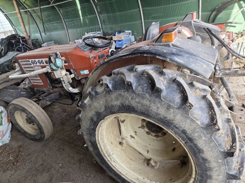 Traktor del tipo Fiat 60-66, Gebrauchtmaschine In ST MARTIN EN HAUT (Immagine 1)