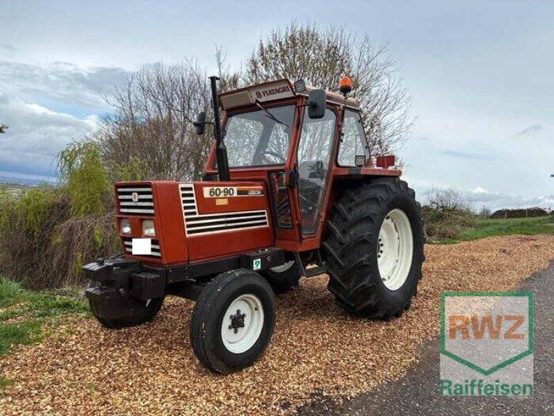 Traktor tipa Fiat 60-90, Gebrauchtmaschine u Flammersfeld (Slika 5)