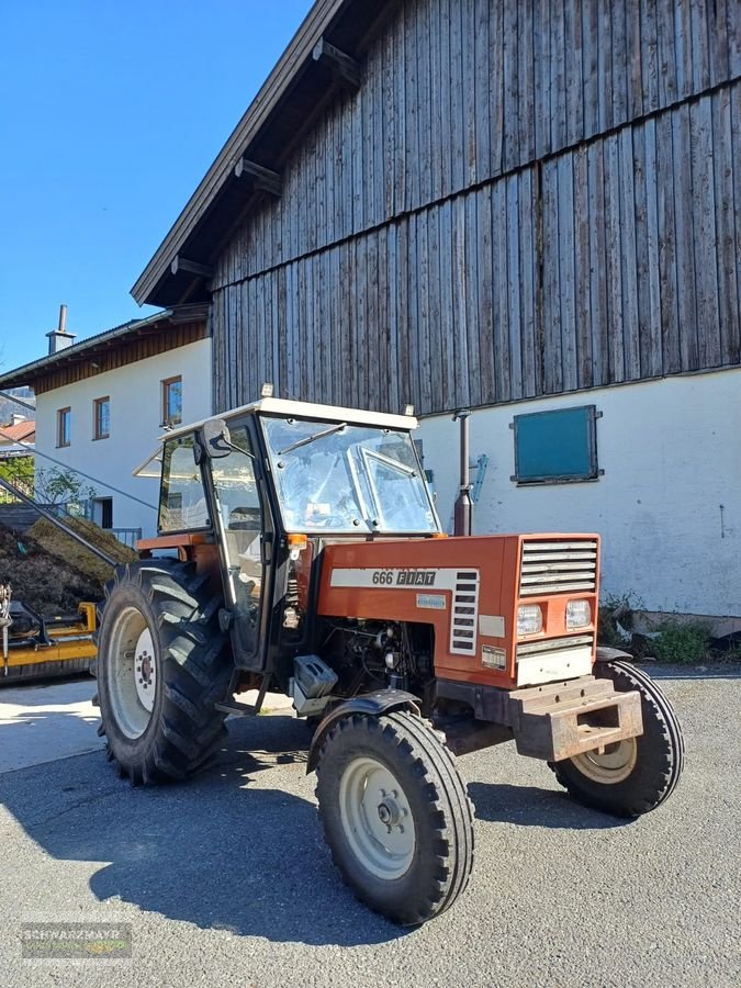 Traktor des Typs Fiat 666, Gebrauchtmaschine in Gampern (Bild 22)