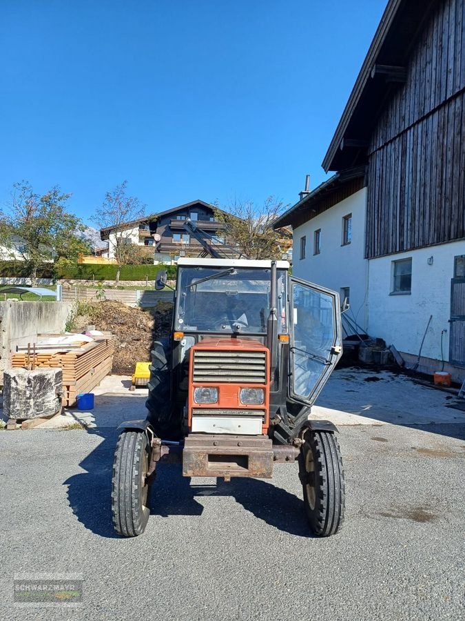 Traktor des Typs Fiat 666, Gebrauchtmaschine in Gampern (Bild 26)