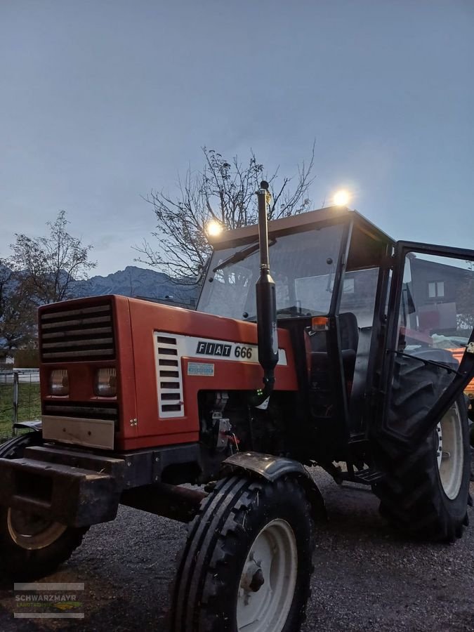 Traktor des Typs Fiat 666, Gebrauchtmaschine in Gampern (Bild 1)