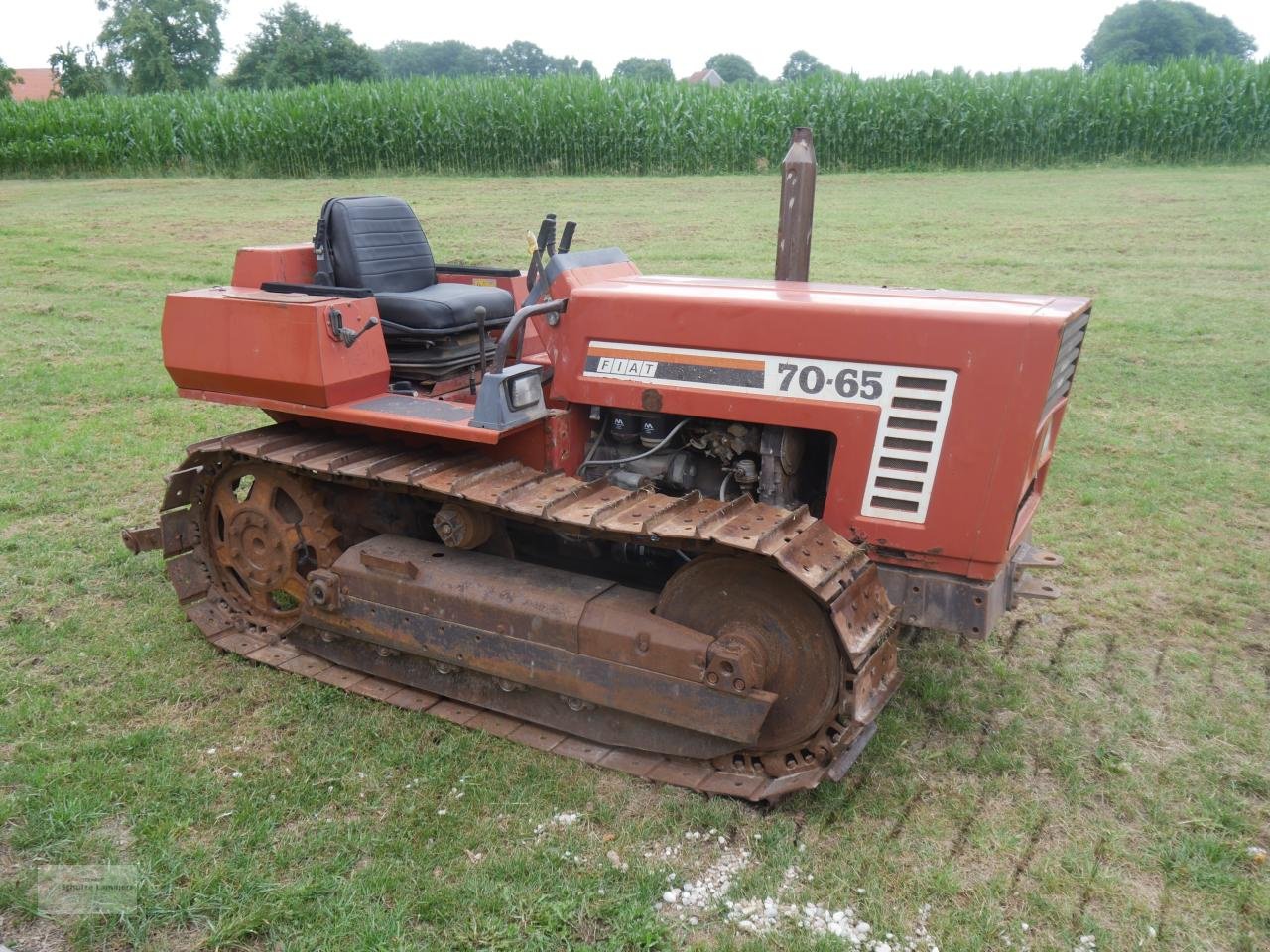 Traktor типа Fiat 70-65 Raupe, Gebrauchtmaschine в Borken (Фотография 1)