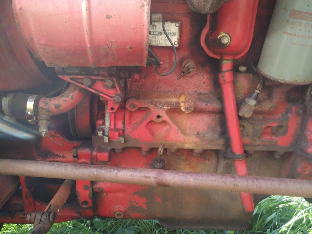 Traktor типа Fiat UTB 445V, Gebrauchtmaschine в Liebenwalde (Фотография 3)