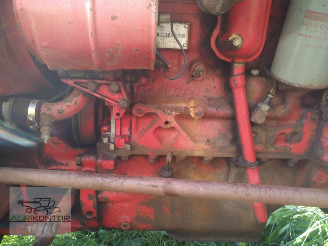 Traktor des Typs Fiat UTB 445V, Gebrauchtmaschine in Liebenwalde (Bild 3)