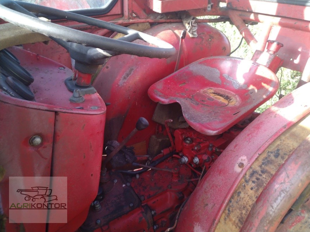 Traktor des Typs Fiat UTB 445V, Gebrauchtmaschine in Liebenwalde (Bild 5)