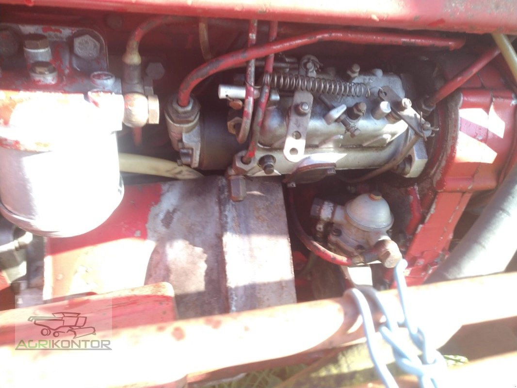 Traktor des Typs Fiat UTB 445V, Gebrauchtmaschine in Liebenwalde (Bild 10)